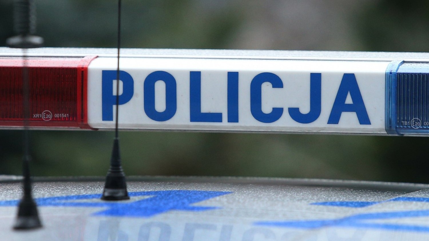Mężczyzna skoczył z wiaduktu na trasę A2
