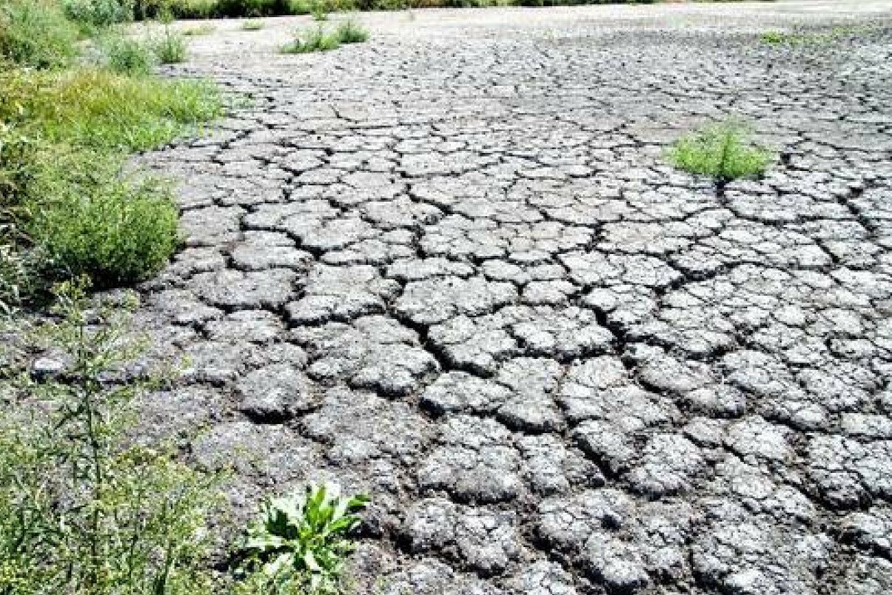 Zdjęcie jest ilustracją do artykułu