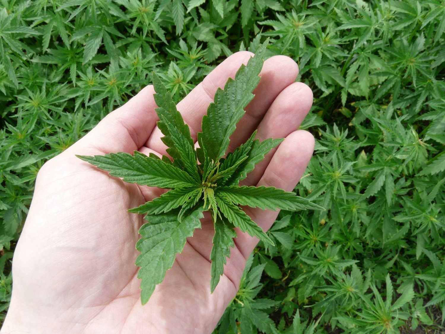 Pora zająć się roślinkami