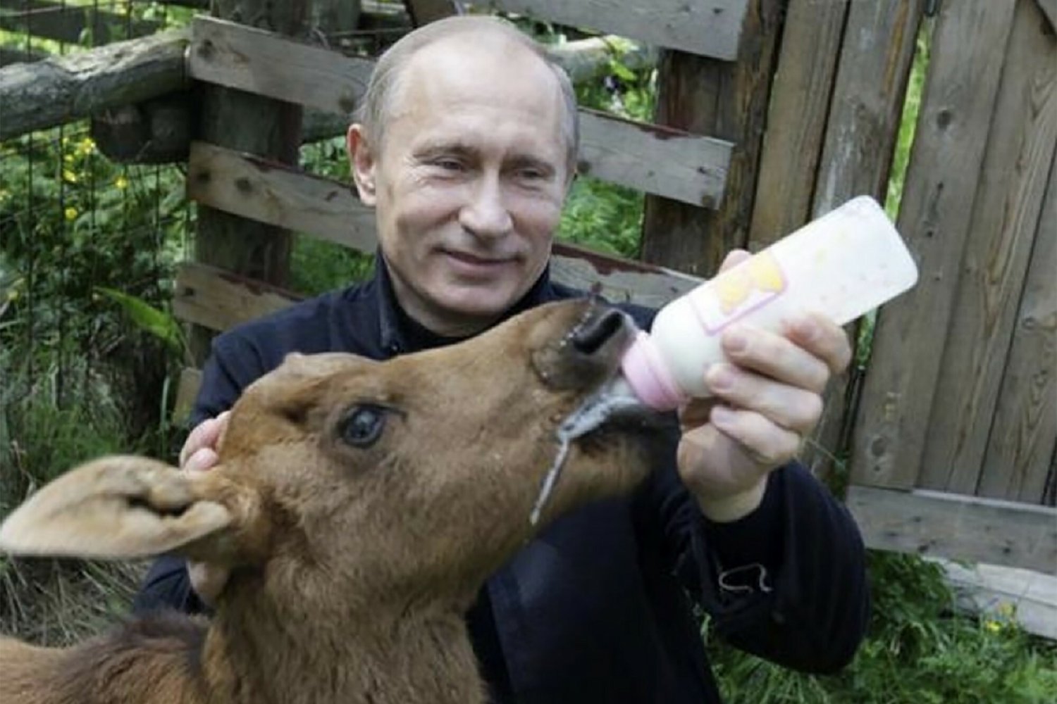 Władimir Putin, mimo, że ma już 70-tkę, dzięki odpowiedniej propagandzie, odbierany jest jako osoba młodsza, aktywna i zdrowa. Czy spekulacje o chorobie i operacji okażą się prawdą i wpłyną na dalsze losy Rosji?