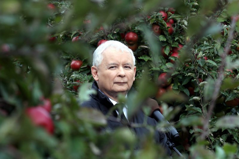 Prezes PiS Jarosław Kaczyński wyraził gotowość do współpracy z rządem Ewy Kopacz. Ale w tej sytuacji to on stoi na straconej pozycji