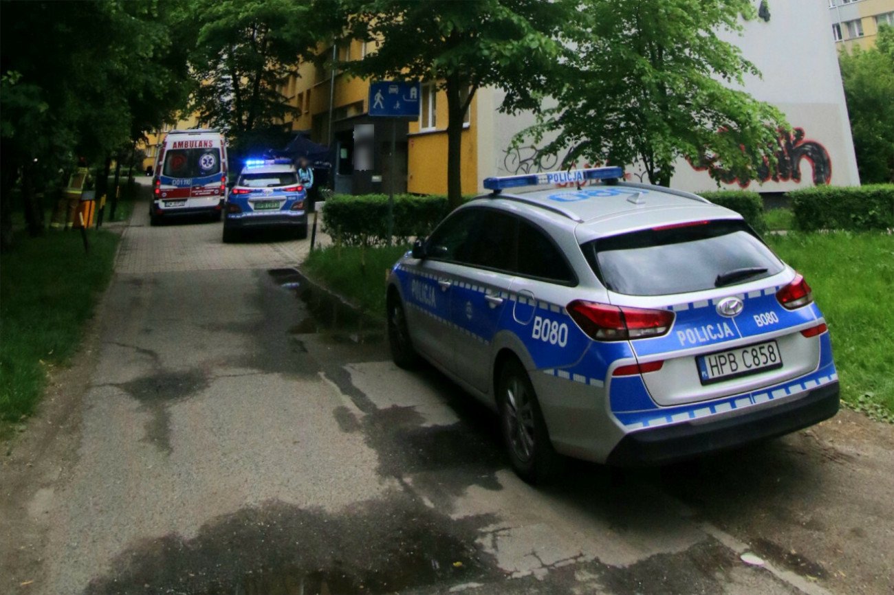 Zdjęcie jest ilustracją do treści.