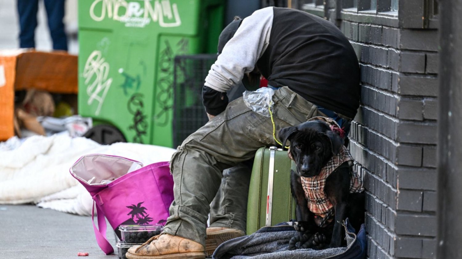 Bezdomny mężczyzna ze swoim psem na ulicy w San Francisco (Kalifornia, Stany Zjednoczone), miasta zmagającego się z epidemią fentanylową, 2014 rok. Bezdomny mężczyzna ze swoim psem na ulicy w San Francisco (Kalifornia, Stany Zjednoczone), miasta zmagającego się z epidemią fentanylową, 2014 rok.