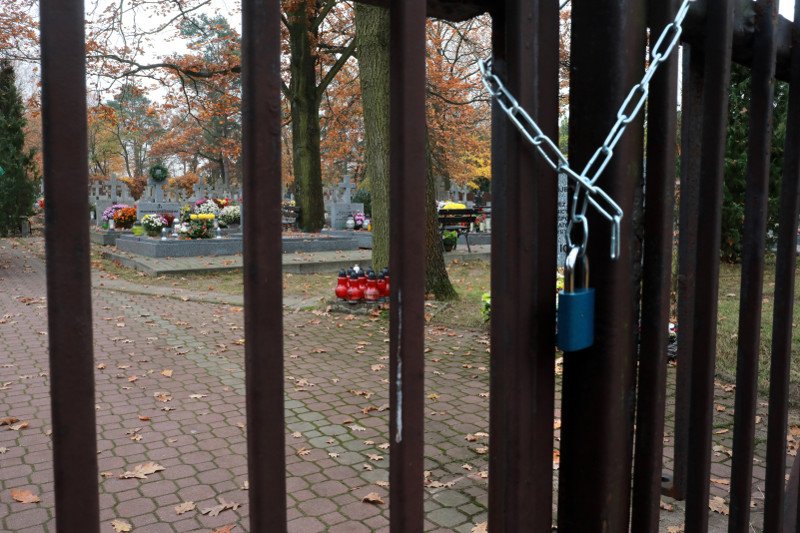 Zdjęcie poglądowe.