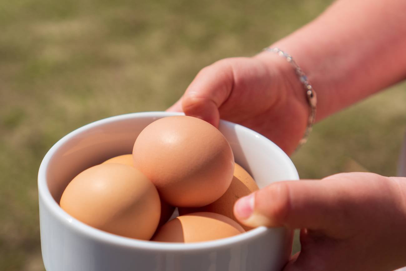 Gotowanie jajek – ten błąd popełnia większość z nas. Zdrowie ucieka Gotowanie jajek – ten błąd popełnia większość z nas. Zdrowie ucieka