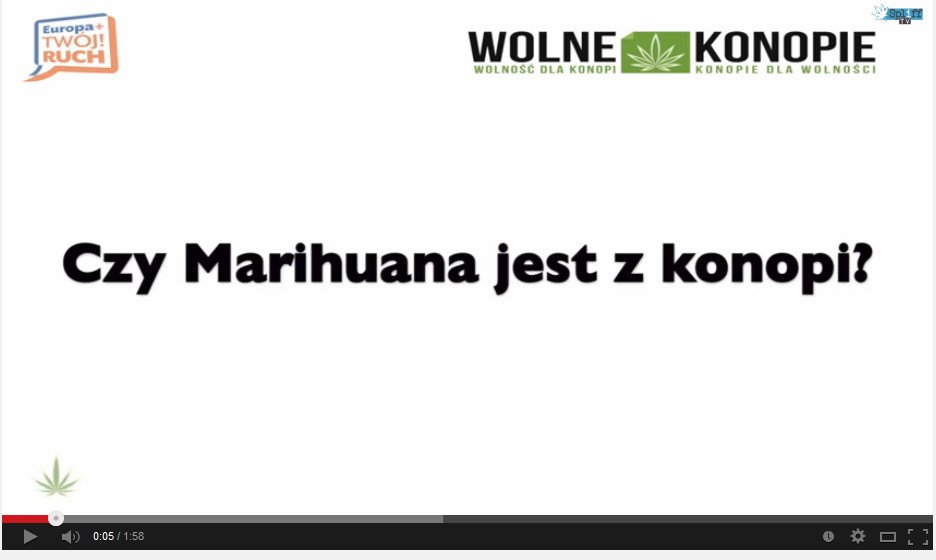 Czy marihuana jest z konopi?