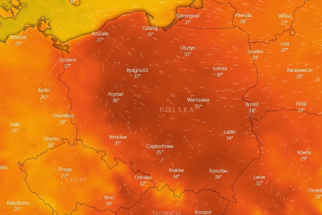 Synoptycy prognozują rekordowo wysokie temperatury