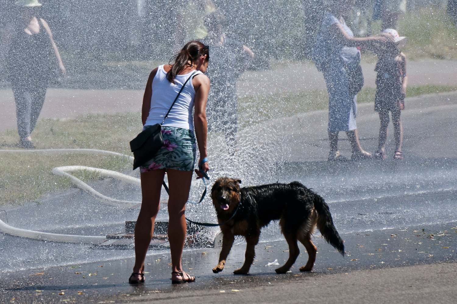 Ekstremalne temperatury są bardzo niebezpieczne zarówno dla ludzi, jak i dla zwierząt.