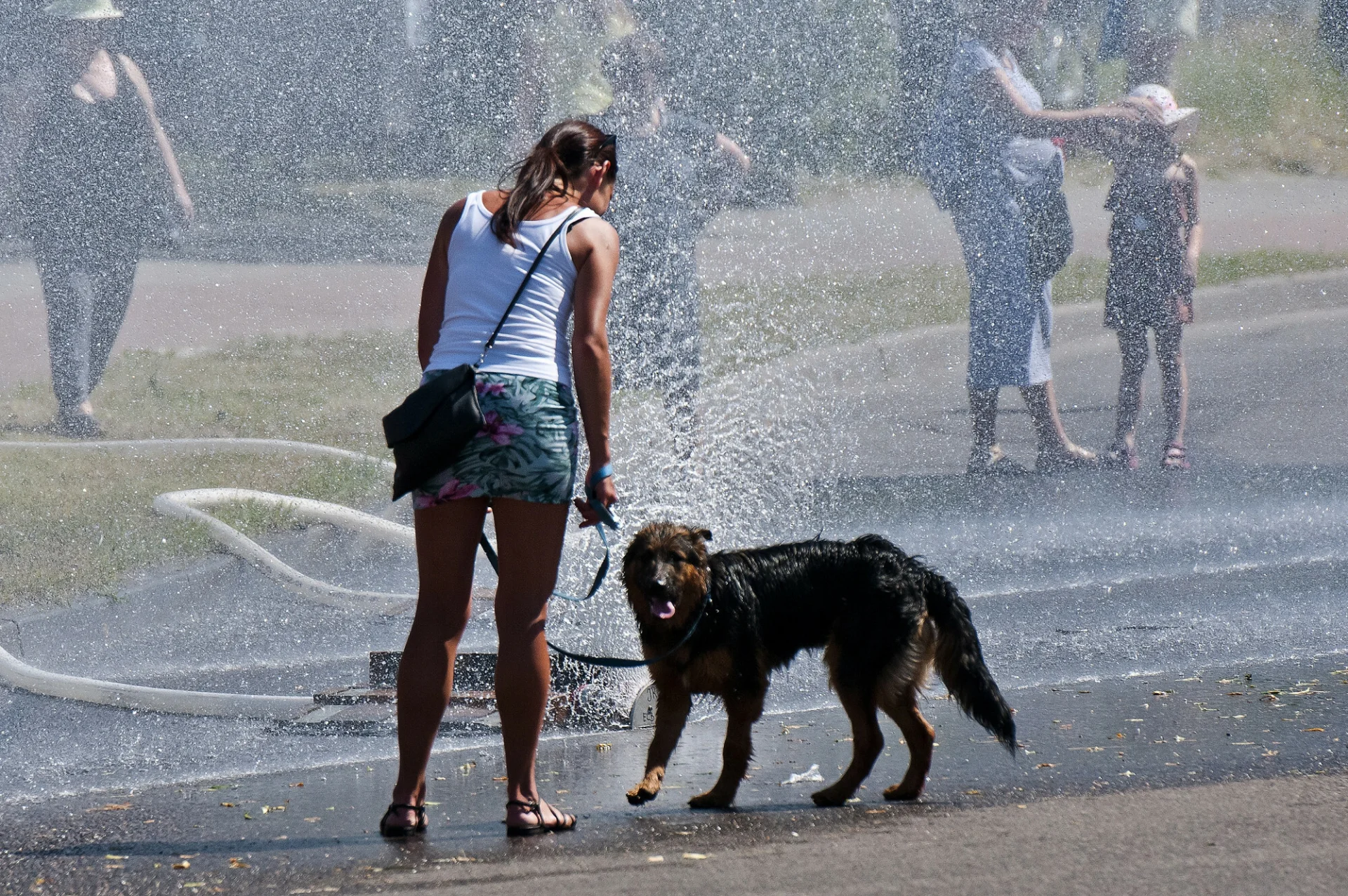 Ekstremalne temperatury są bardzo niebezpieczne zarówno dla ludzi, jak i dla zwierząt.