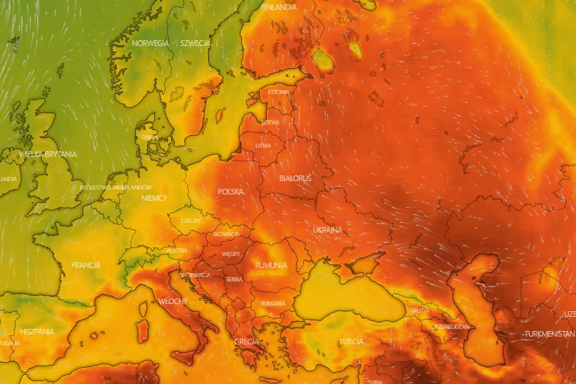 Prognozy dla mieszkańców miast są niepokojące. Upały będą coraz częstszym zjawiskiem.