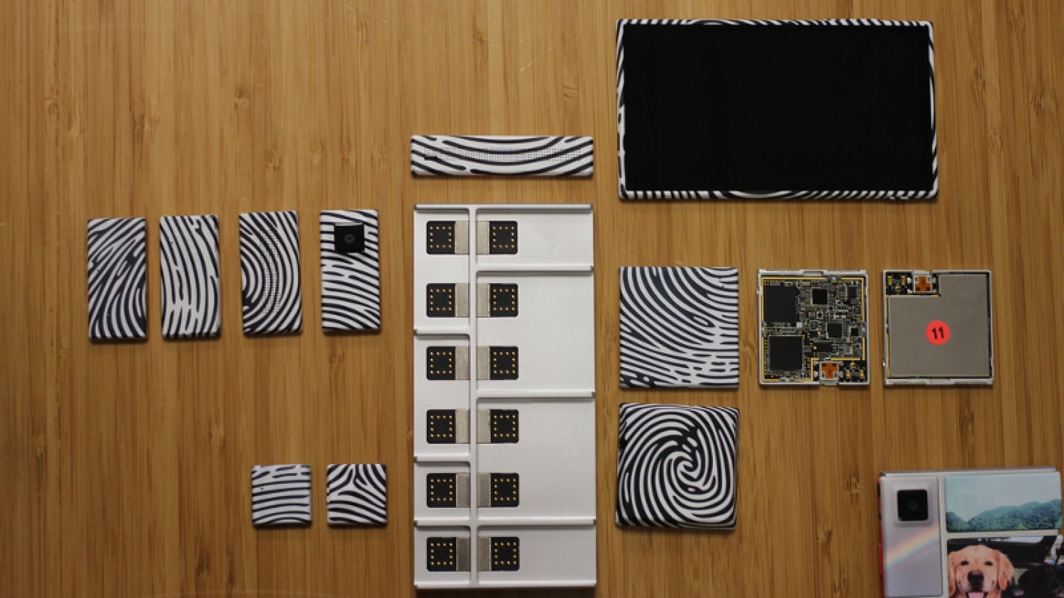 Project Ara to przedsięwzięcie mające na celu zaprojektowanie i wypuszczenie na rynek komercyjny modułowego smartfonu