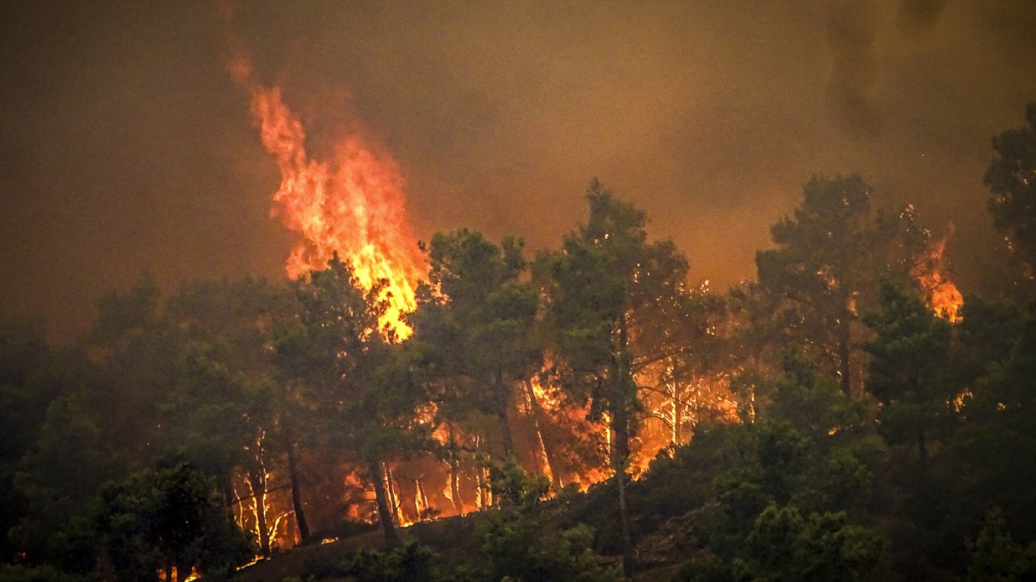 Wakacje w Grecji zakłóciły pożary. Płonie Korfu, Rodos i Eubei.