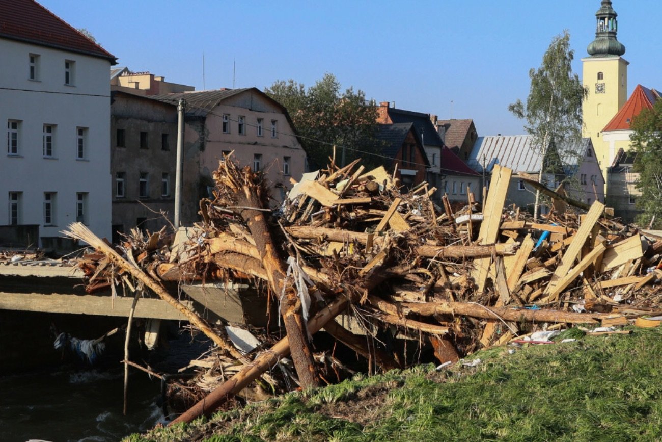 Drewno porwane przez powódź.