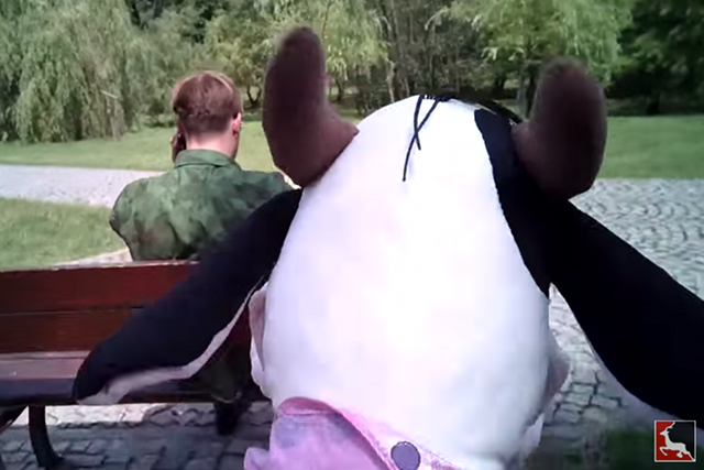 Polski prankster został pobity