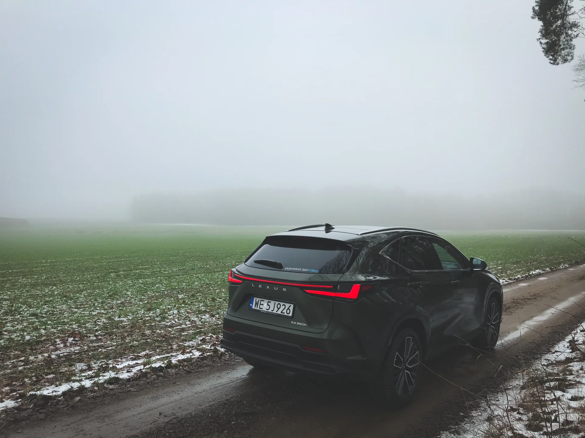 Lexus NX 350h