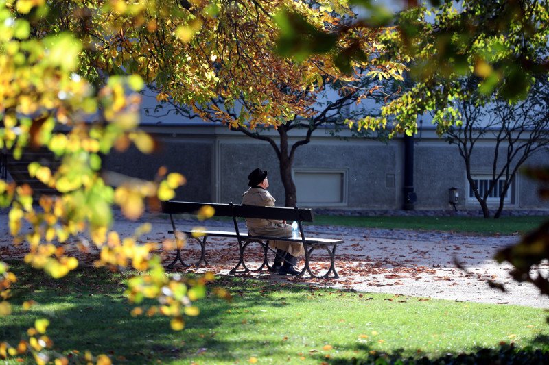 W tym roku listopad jest rekordowo ciepłym miesiącem.