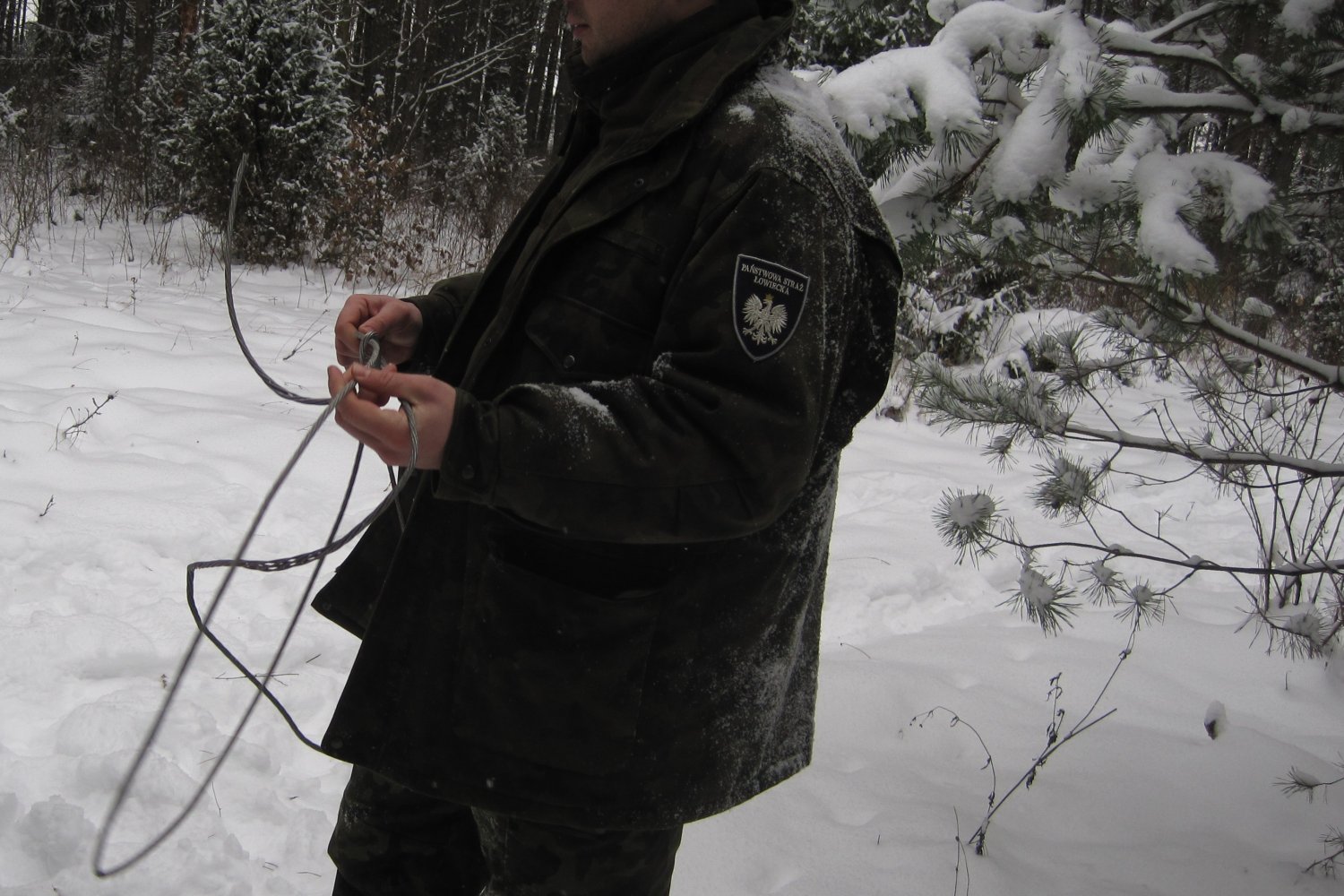 Na terenie posesji radnego PiS znaleziono sprzęt kłusowniczy, m.in. wnyki (zdjęcie poglądowe).