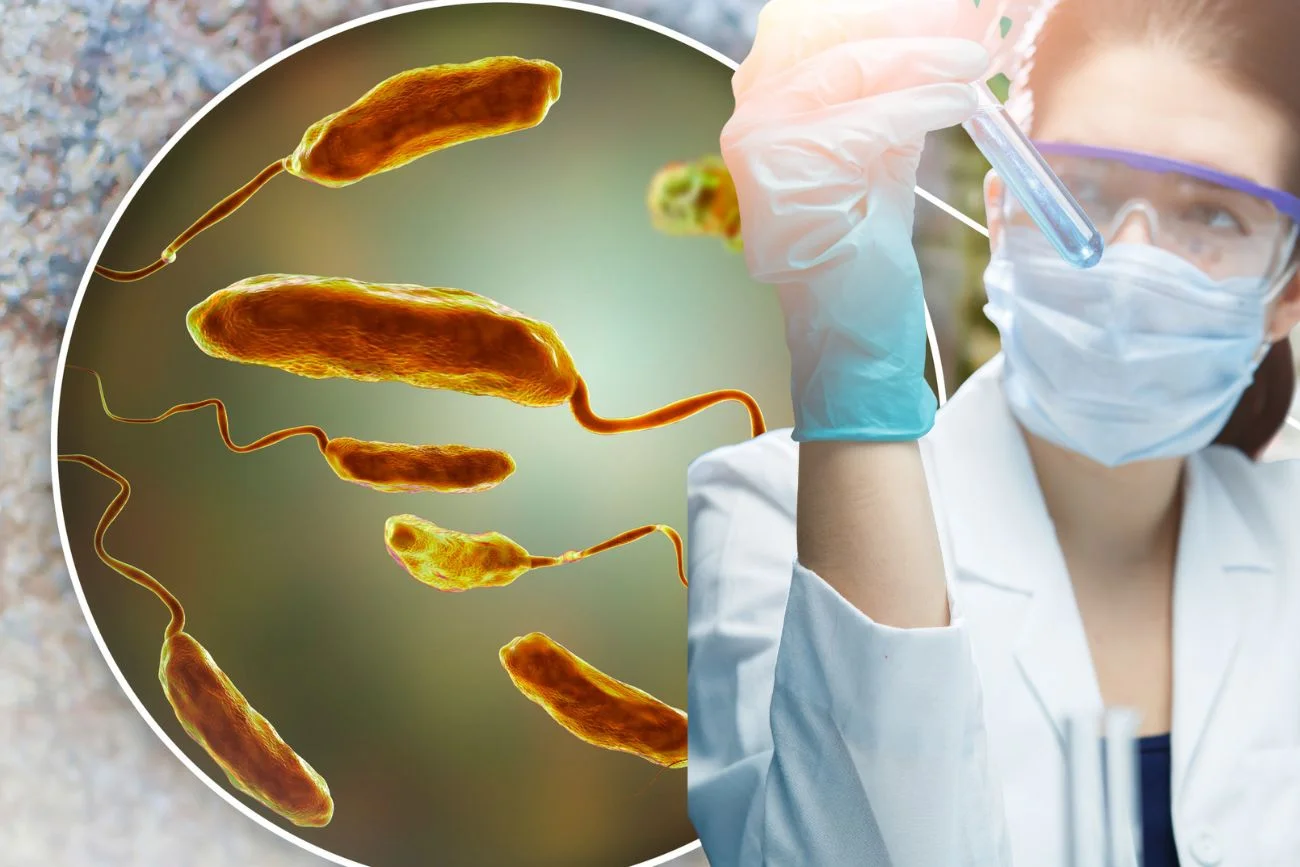 Wibrioza i cholera to choroby zakaźne wywoływane przez bakterie z rodzaju Vibrio. W Polsce mamy pierwsze przypadki wibriozy, która na początku brana była za cholerę. Tak właśnie było z pacjentką ze Stargardu, o której mówiły wszystkie media. Wibrioza i cholera to choroby zakaźne wywoływane przez bakterie z rodzaju Vibrio. W Polsce mamy pierwsze przypadki wibriozy, która na początku brana była za cholerę. Tak właśnie było z pacjentką ze Stargardu, o której mówiły wszystkie media.
