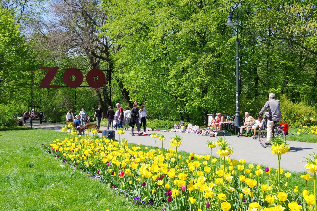 Jaka pogoda na drugą połowę kwietnia 2023? Prognoza pogody przed majówką