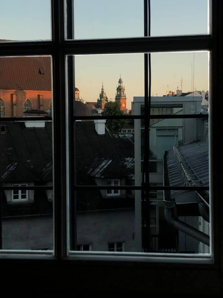 Widok z okna Pracowni, czerwiec 2020 rok