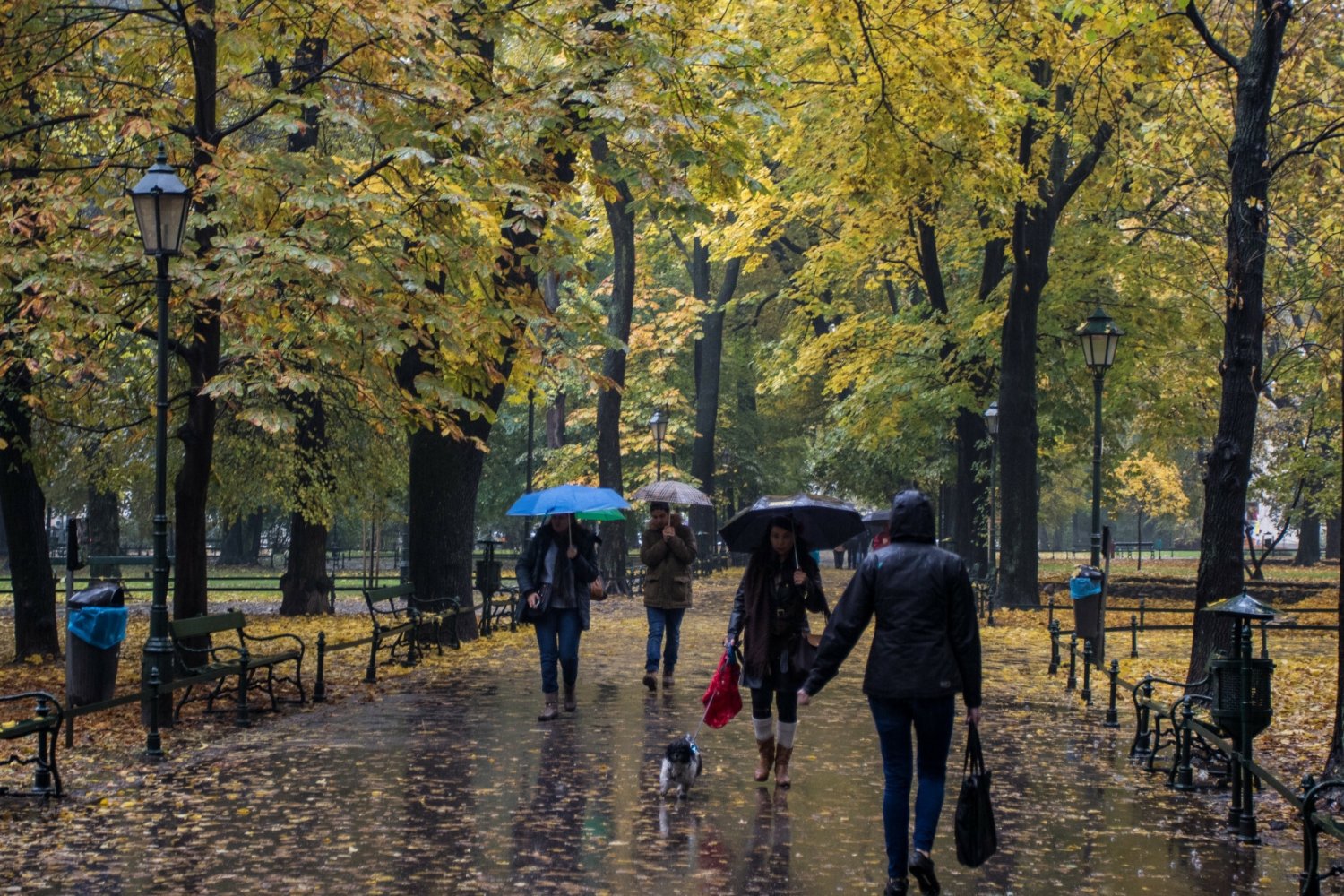 W pogodzie mamy już jesień.