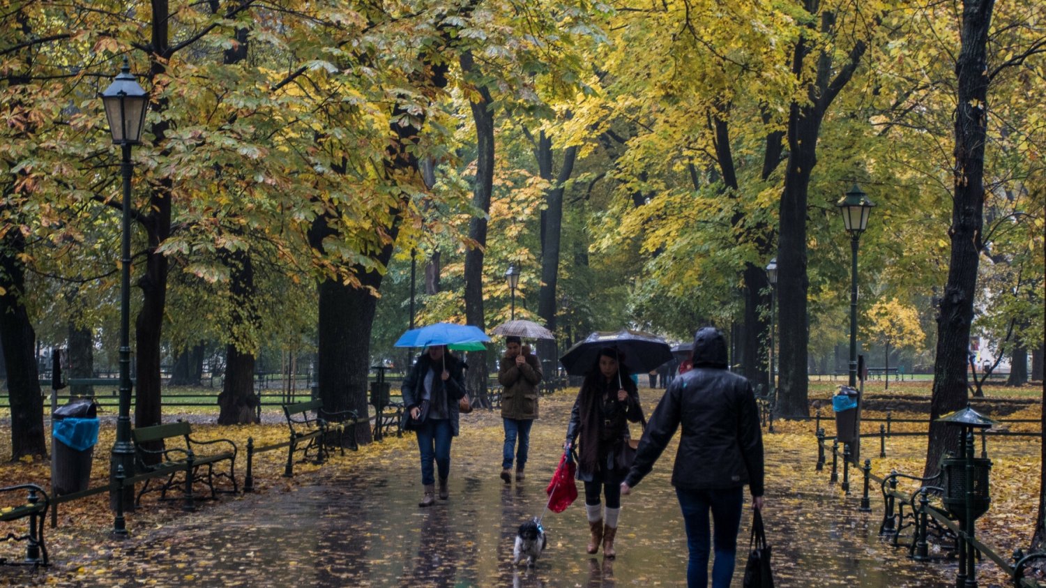 W pogodzie mamy już jesień.
