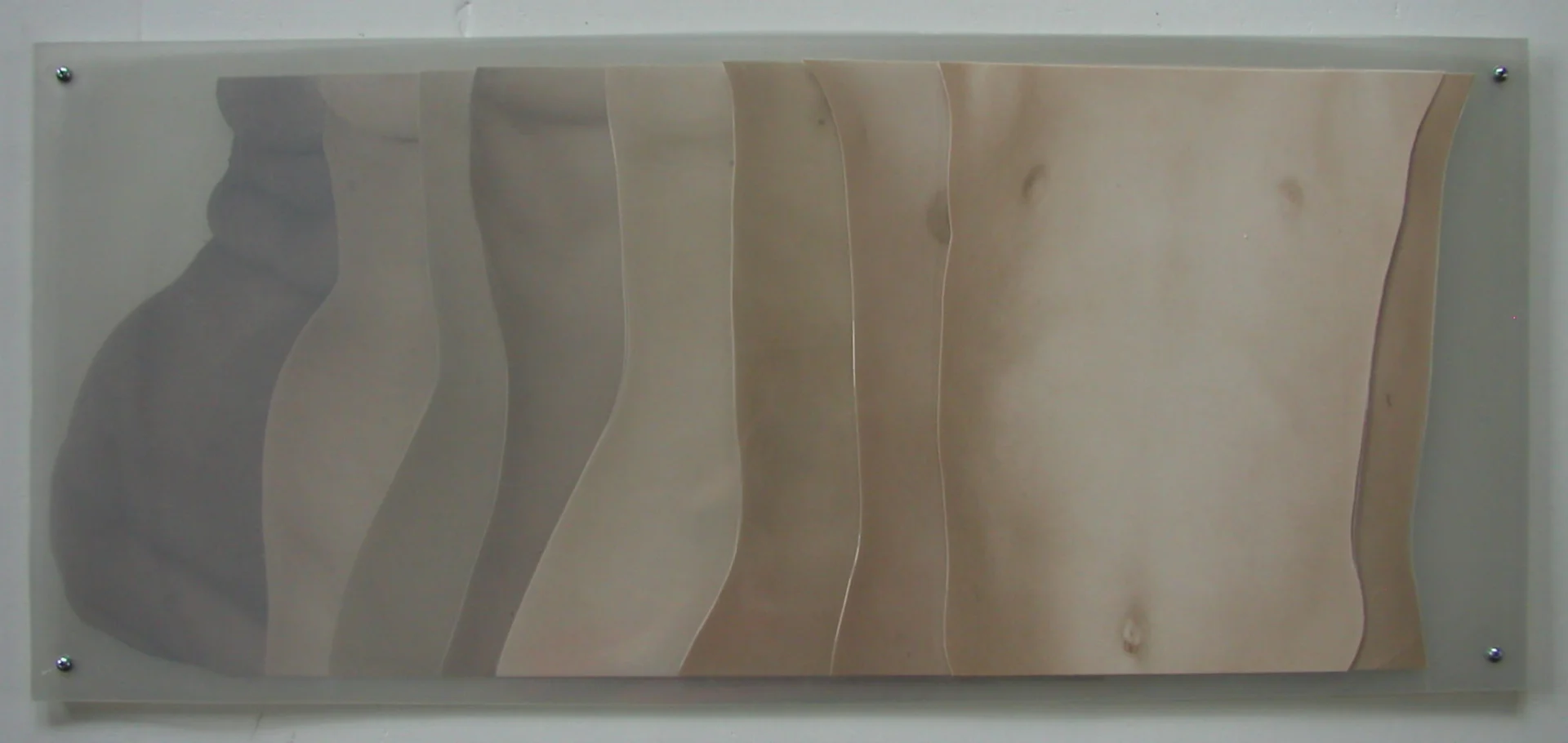 Zuzanna Janin, "Brzuchy", (Julia, Olga, Melania, Agnieszka, Zuzanna, Krystyna, Hanna, Janina), 1995-1997