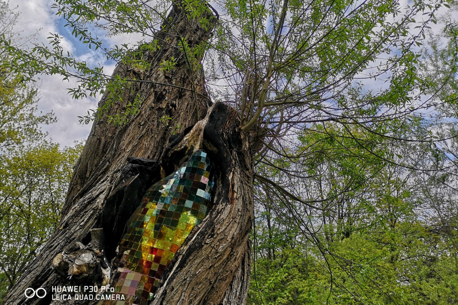 Zdjęcie wykonane smartfonem Huawei P30 Pro.