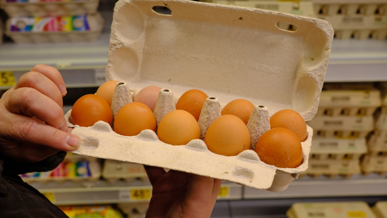 Jajka kupione na święta mogą być zagrożeniem. Przed tymi ostrzega GIS