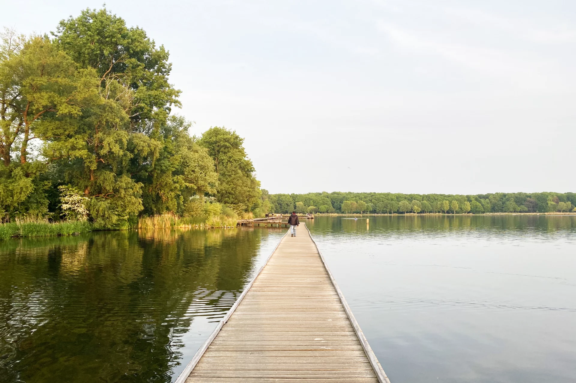 Pustki nad jeziorem Kralingen w Rotterdamie podczas pierwszej fali Covid-19.