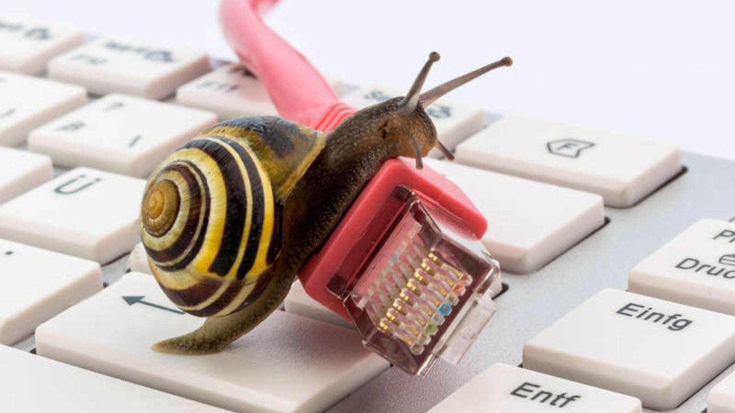 Uwolnienie i deregulacja rynku internetu w Polsce - co będą mieli z tego konsumenci? Szybszy, tańszy i bardziej powszechny internet