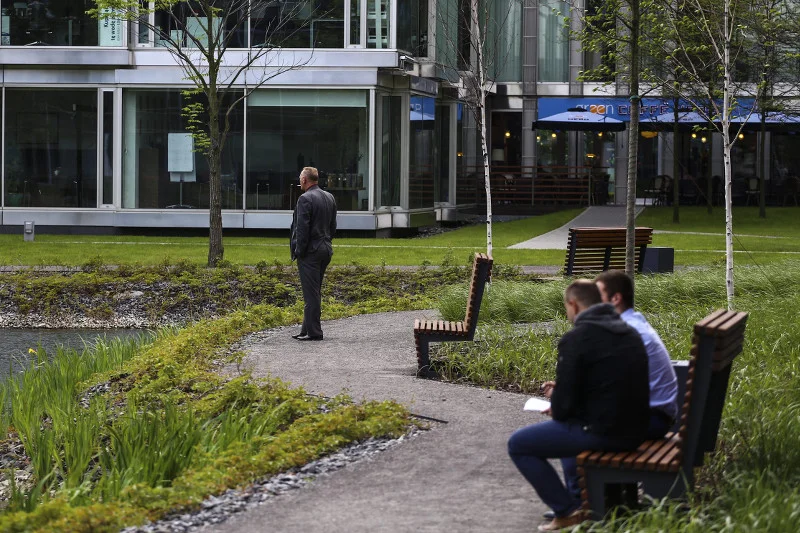 Podnosić pensje i opodatkować bogatych? Ekonomistka odpowiada Belce: Pracodawca płaci dziś masę danin