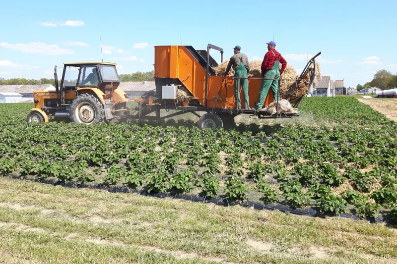 AGRO-WAR to spółka założona przez byłych pracowników PGR-ów.