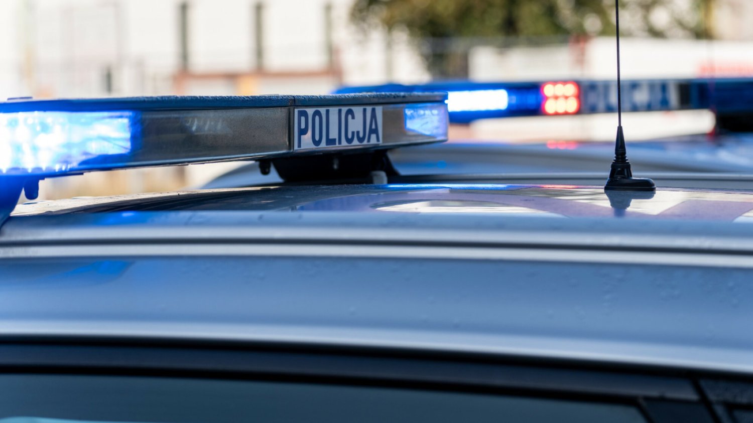 Wypadek z BMW na A1. Policja z Łodzi wydała oświadczenie ws. kierowcy