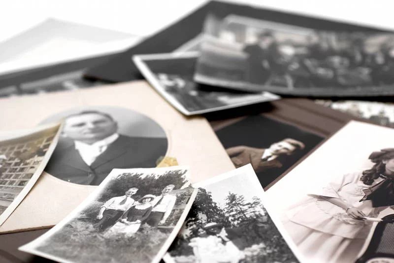 Polacy bardzo chętnie poszukują swoich korzeni, w czym wydatnie pomagają im internetowe portale genealogiczne i cyfrowe bazy danych.