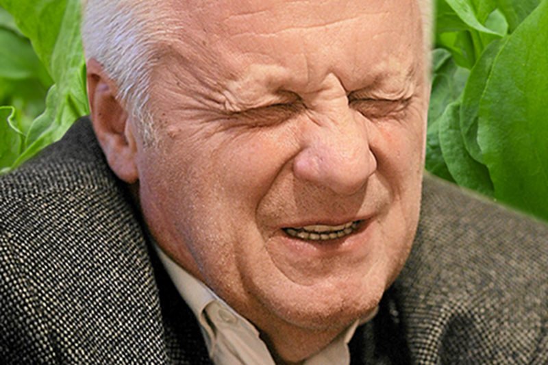 Stefan Niesiołowski o niedożywionych dzieciach: Kiedyś jedzono szczaw i wszyscy byli najedzeni.