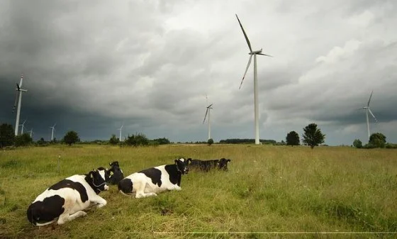 Elektrownie wiatrowe to także zyski dla lokalnych samorządów z tytułu podatków.