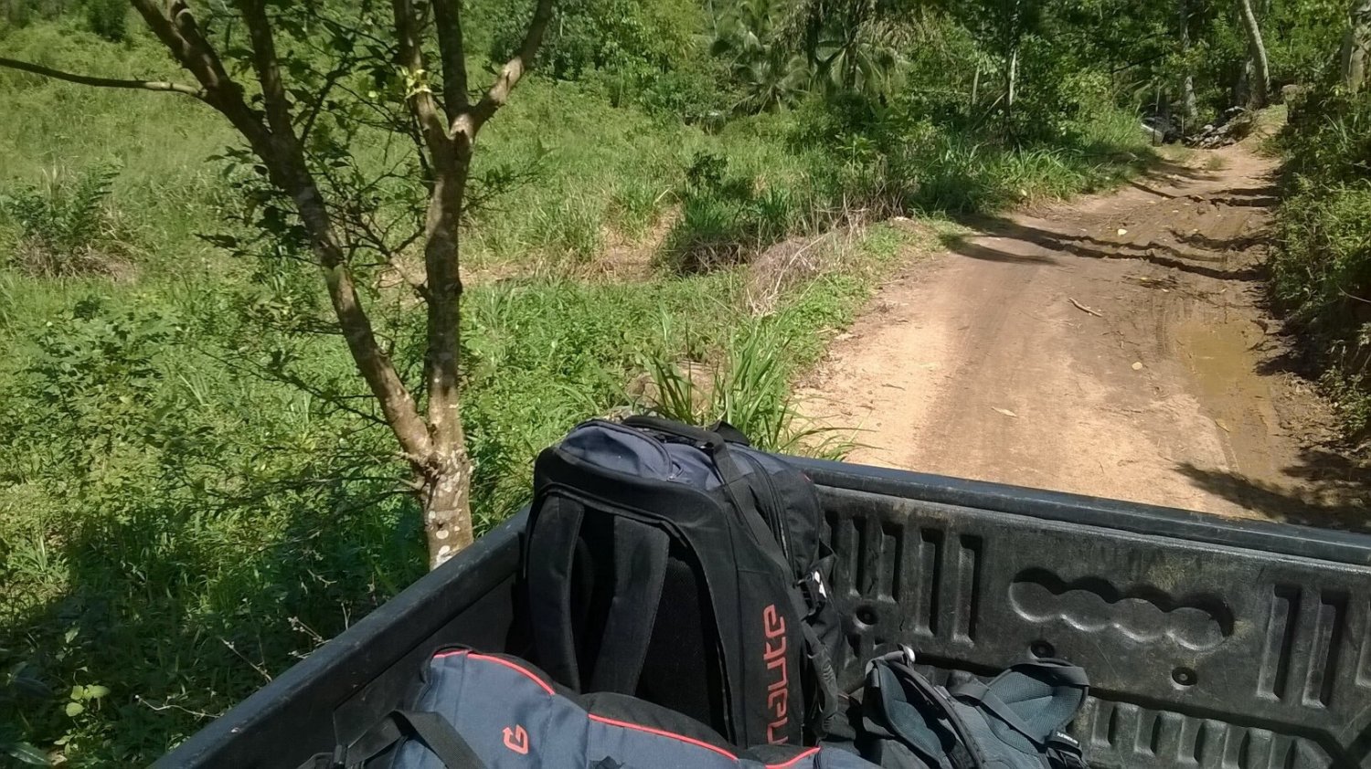 Ze wsi Daniyaya do Parku Narodowego Singharaya droga prowadzi wzdłóż pól  ryżu uprawianych na własny użytek wieśniaków, a na zboczach wzgórz - plantacji herbaty przetwarzanej na miejscu i wysyłanejj stąd w ńiemal każdy zakątek świata. Sri Lanka