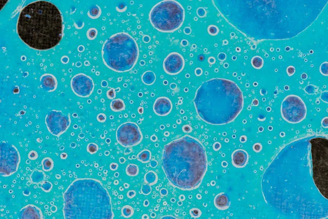 Nobel w dziedzinie medycyny za badania nad transportem substancji wewnątrz [url=http://www.shutterstock.com/pic-76905343/stock-photo-cancer-cells.html?src=qRmRbjVfqX5CVH4P6ZWq7g-17-23]komórek[/url].