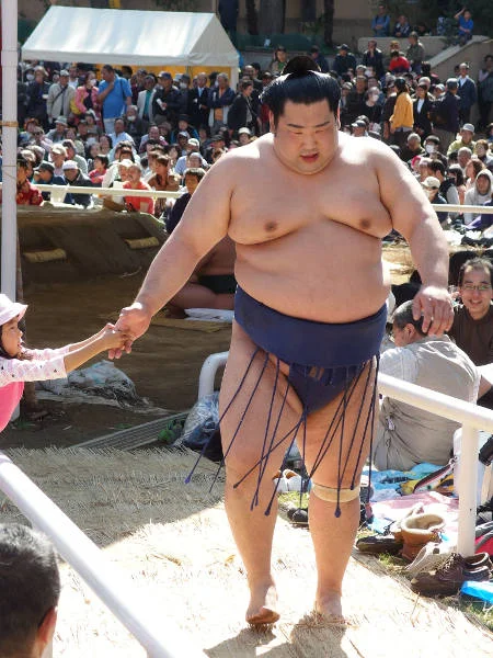 Zawodnicy sumo są podziwiani, pomimo swojej tuszy