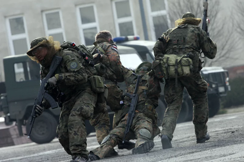 Organizacje paramilitarne organizują się w federację i zaczynają współpracować z Ministerstwem Obrony Narodowej