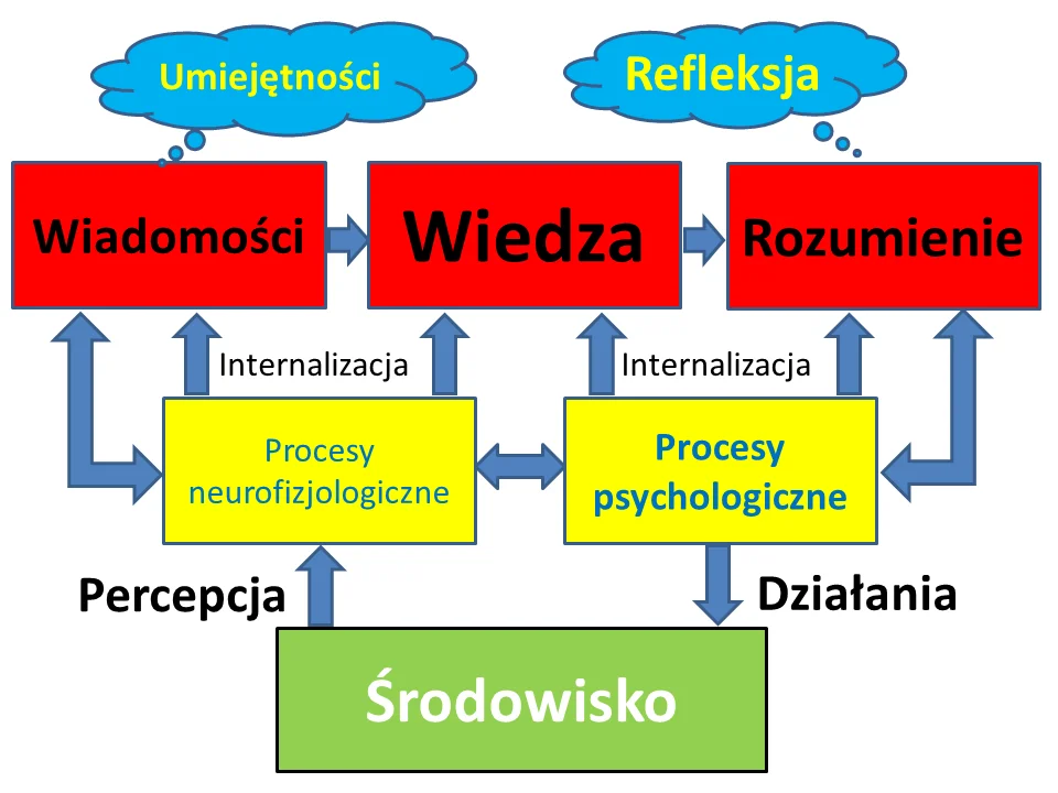 Schemat zagadnień badanych przez kognitywistykę