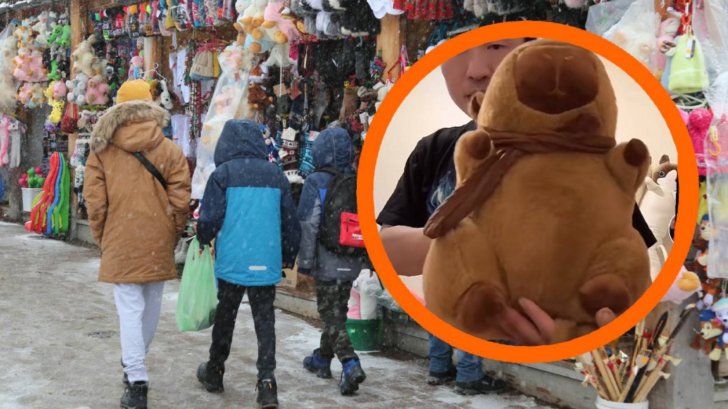 Gęś Pipa i Pou mogą się schować. Ta maskotka jest nowym hitem wśród turystów. Maskotka kapibara to nowy hit straganów. Zostawia w tyle gęś Pipę i Pou.