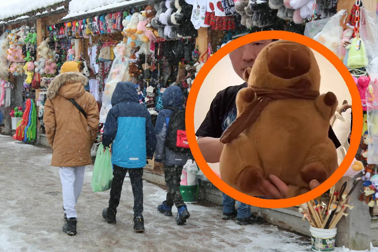 Gęś Pipa i Pou mogą się schować. Ta maskotka jest nowym hitem wśród turystów. Maskotka kapibara to nowy hit straganów. Zostawia w tyle gęś Pipę i Pou.