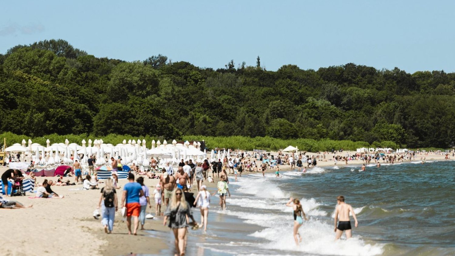 Ważna informacja dla plażowiczów. Trzeba uważać na bakterie Vibrio.