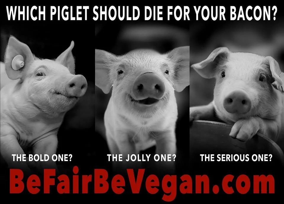 BE FAIR BEVEGAN - wegańska kampania billboardowa na Time Squere.
Które wybierzesz?