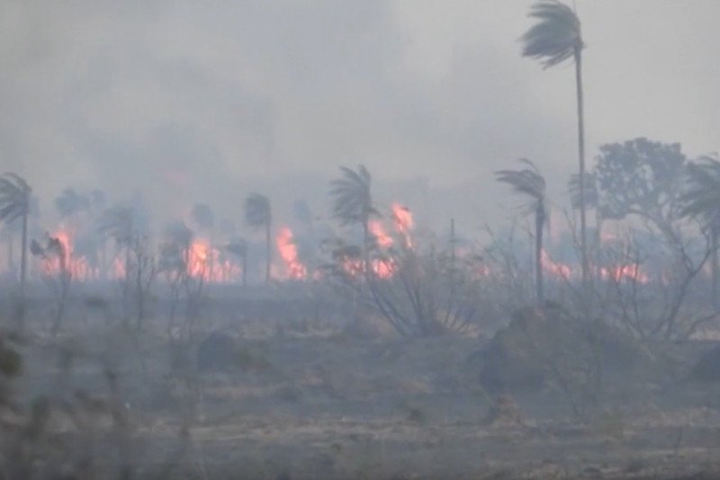 Pożary od trzech tygodni szaleją w Brazylii, przeniosły się do Boliwii.