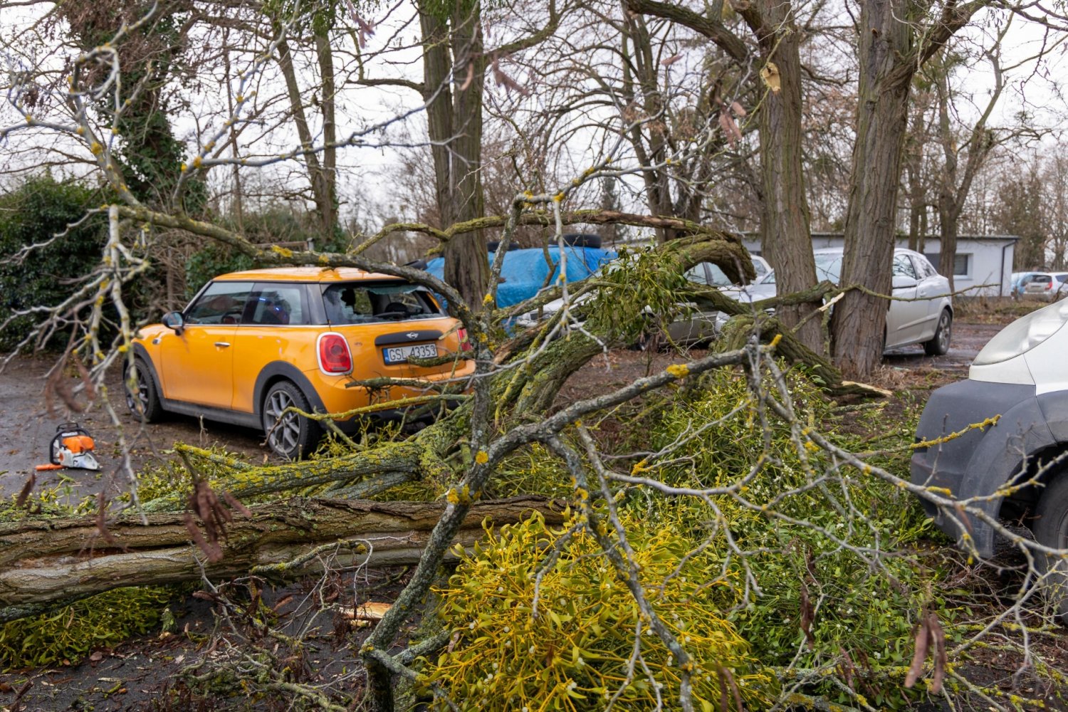 IMGW nadal ostrzega przed wiatrem w całej Polsce.