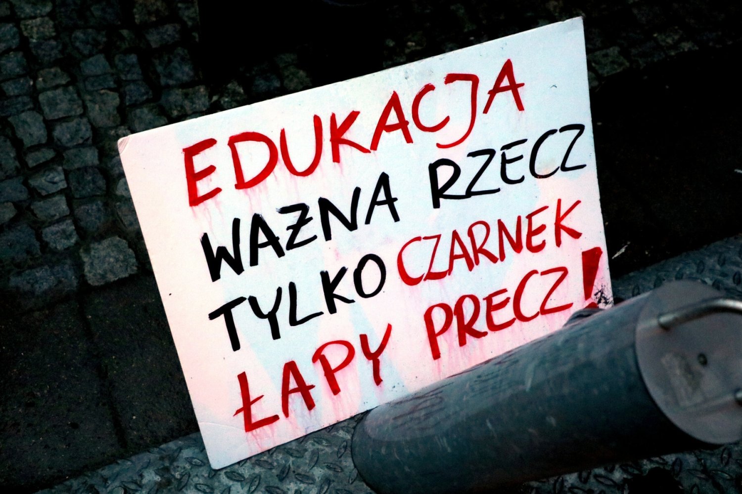 "Czarnek - ręce precz od edukacji" - zdjęcie z protestu