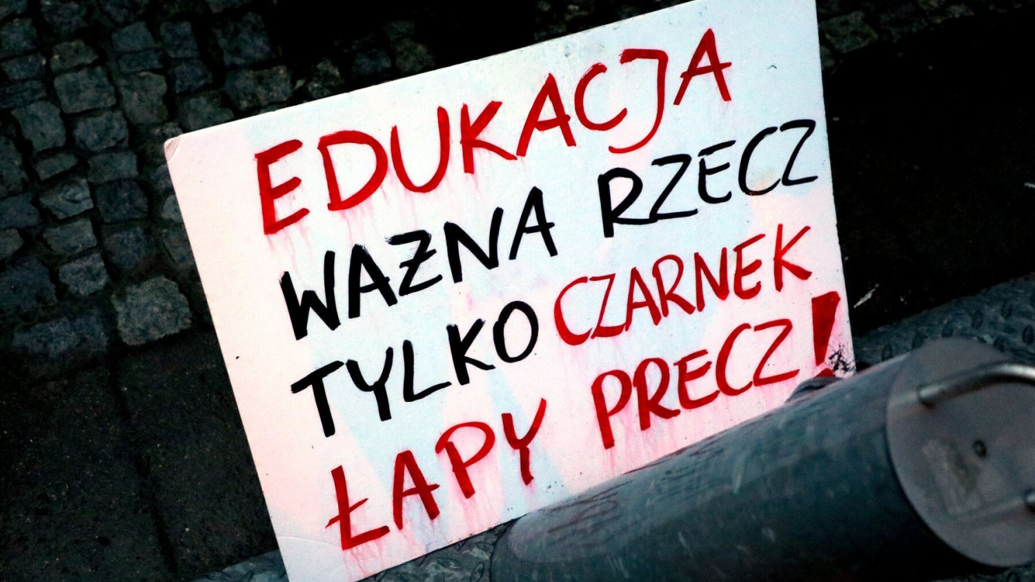 "Czarnek - ręce precz od edukacji" - zdjęcie z protestu